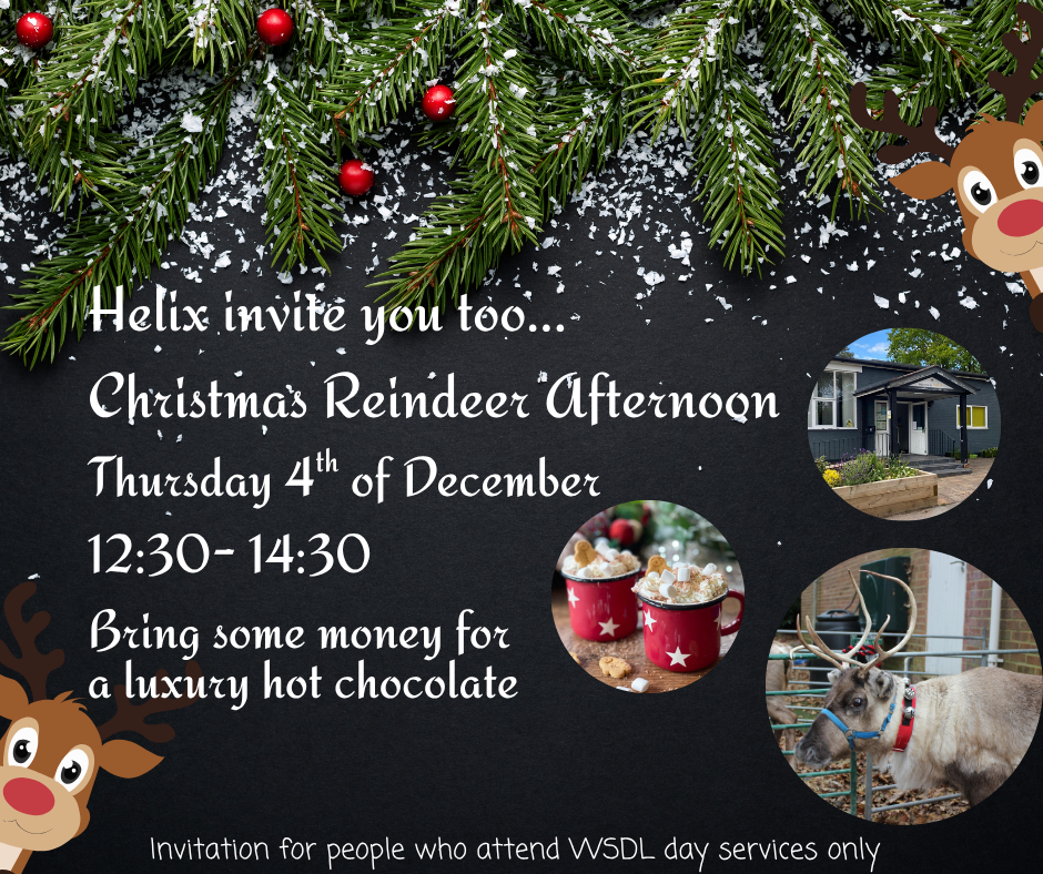 Christmas Reindeer Afternoon 