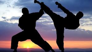 Martial arts fun!